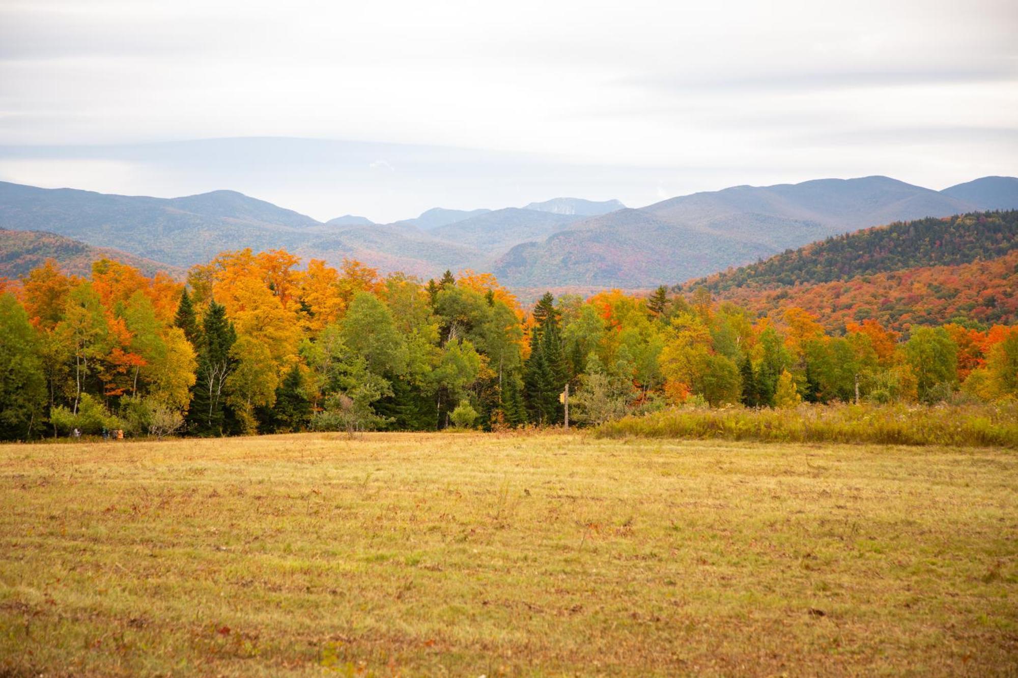 Lake Placid Inn Boutique Hotel Zewnętrze zdjęcie